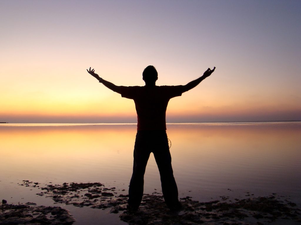 Silhouette of person against landscape