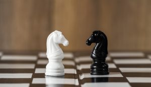 Black and white knight chess pieces